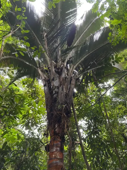 Whats App Image 2025 04 28 at 14 25 30