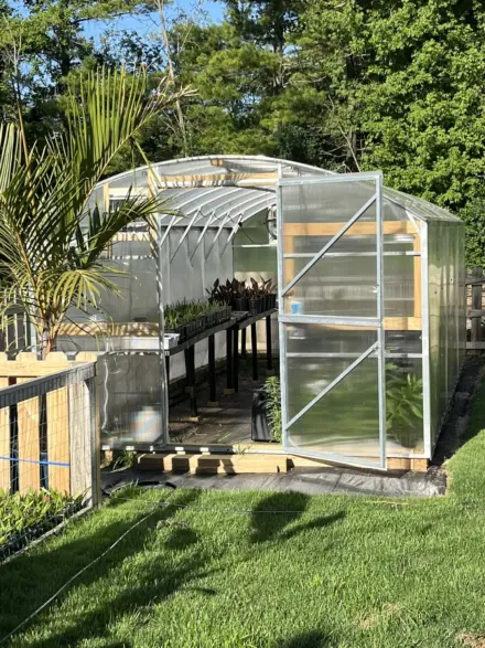 Greenhouse 6