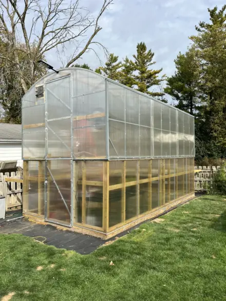 Greenhouse 4