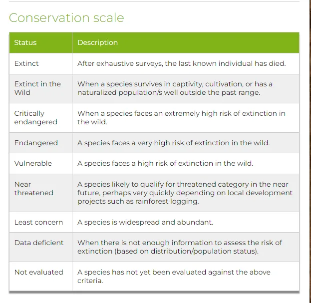 Palm species conservation status