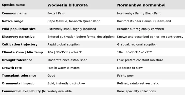 Foxtail vs Normanbya Comparison Table v3