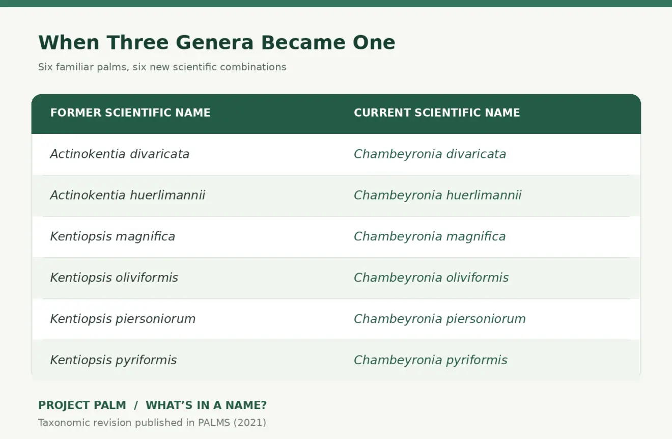 Chambeyronia name changes