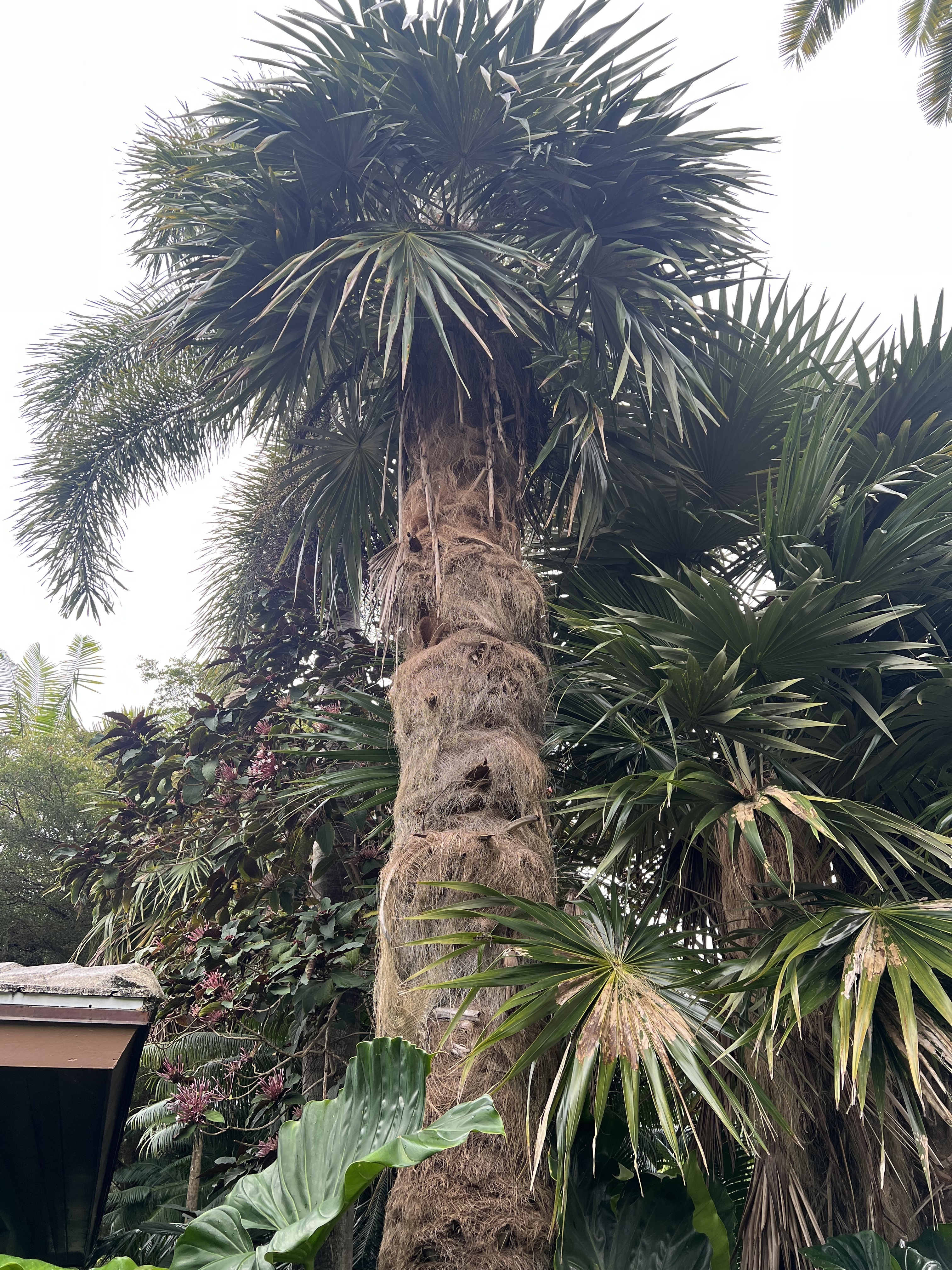 Fairchild Gardens.