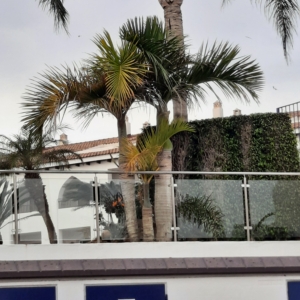 In Benalmadena, Malaga, Spain