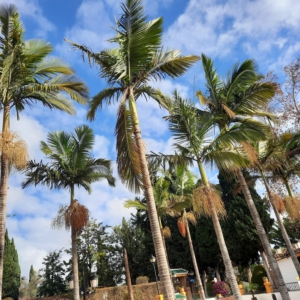 Molino de Inca Park, Torremolinos, Malaga, Spain