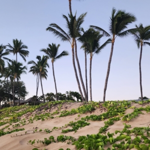 Maui hawaii kihei