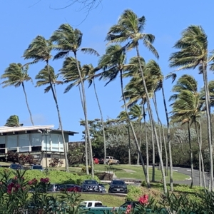 Oahu North Shore