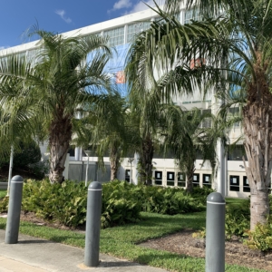 Orlando convention center mule palms