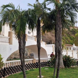 In Almuñecar, Granada, Spain