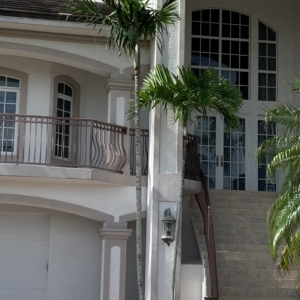 Solitaire Palm Bonita Sorings