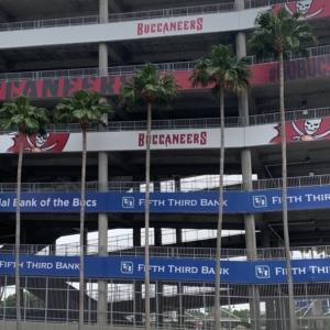 Buccaneers stadium Mexican Fan Palms