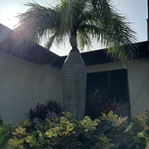 1 year after hurricane Ian in Olde Naples