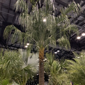 L. Decora at Trade Show