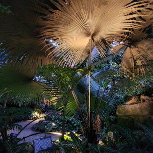 Tropical Dome