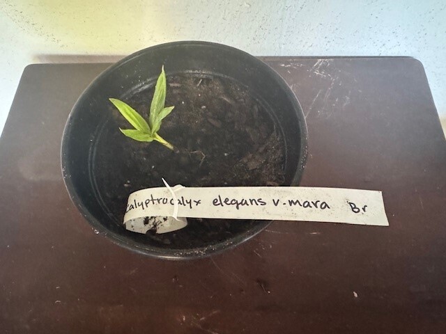 UPDATE