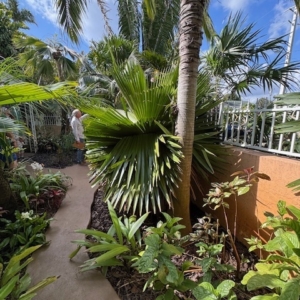 FREY GARDEN LAKE WORTH FLORIDA