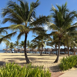 Live Aqua Punta Cana