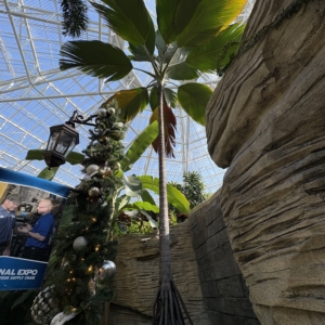 Gaylord Hotel Verschadfeltia splendida