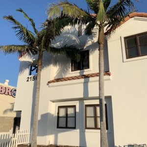 Newport Beach King Palms