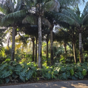 Coral Gables, FL