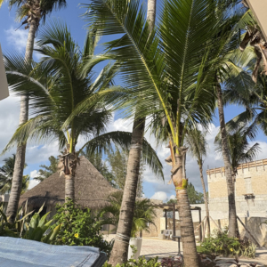 Catalonia Royal Tulum 2