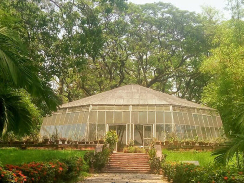 Acharya Jagadish Chandra Bose Indian Botanic Garden