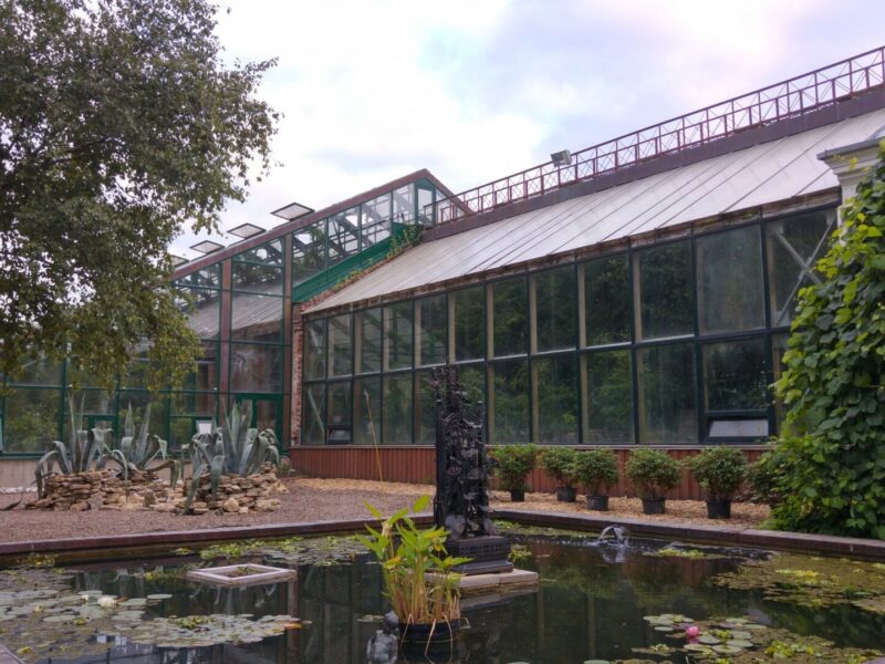 Apothecary Garden