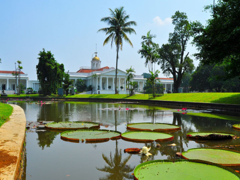 Bogor Botanical Gardens