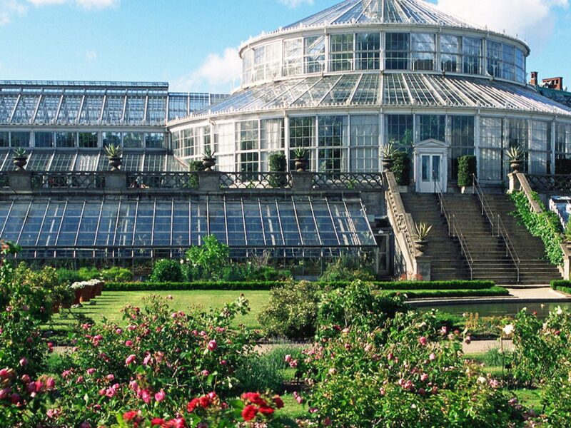 Botanic Garden of the University of Copenhagen
