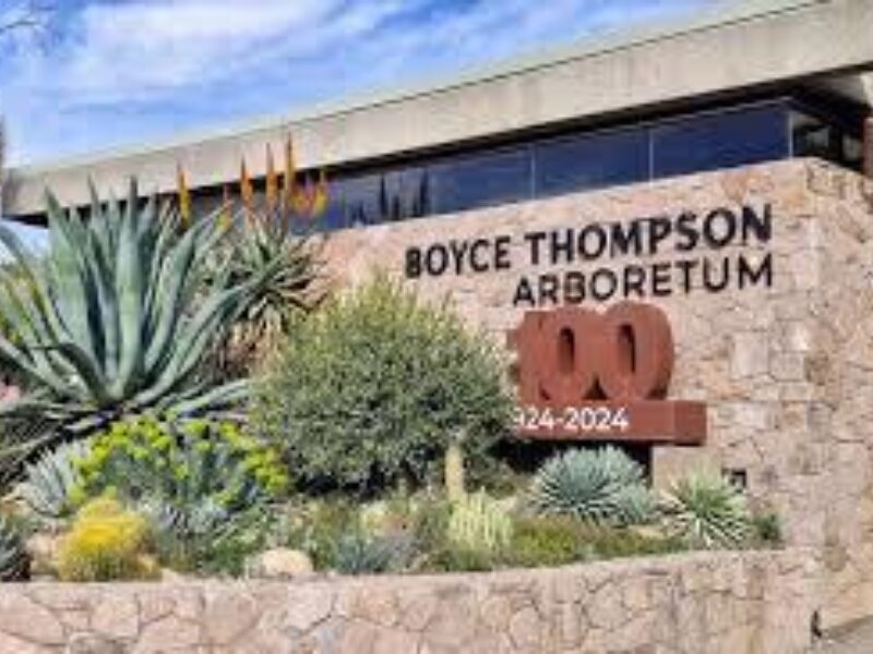 Boyce Thompson Arboretum