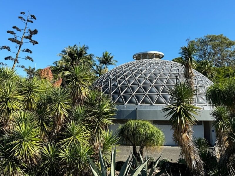 Brisbane Botanic Gardens - Mount Coot-tha