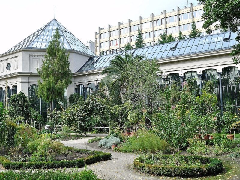 ELTE Botanical Garden (Füvészkert)