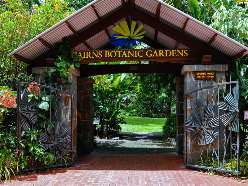 Cairns Botanic Gardens – Flecker Gardens