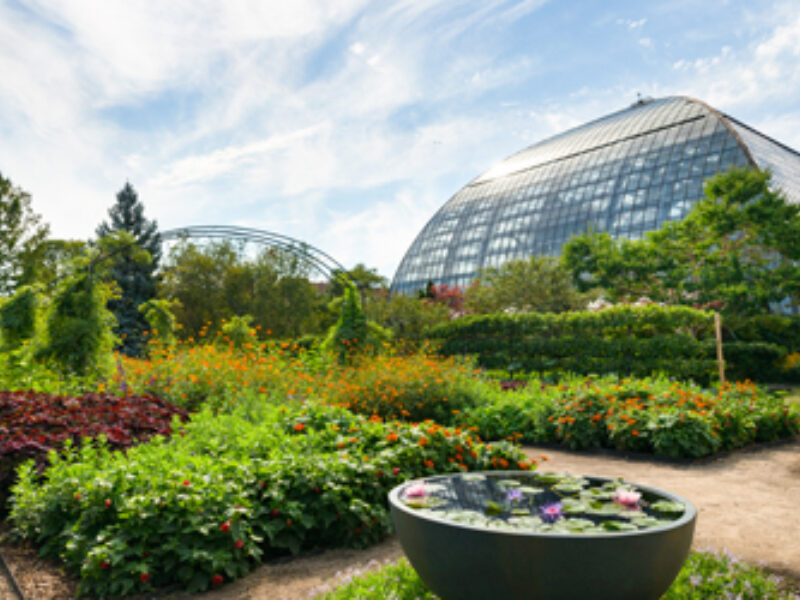 Garfield Park Conservatory