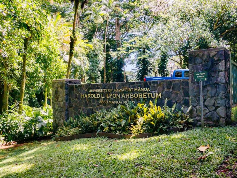 Harold L. Lyon Arboretum