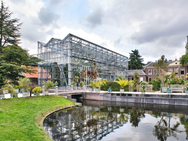Hortus Botanicus Leiden