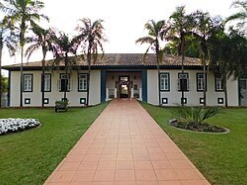 Instituto Plantarum