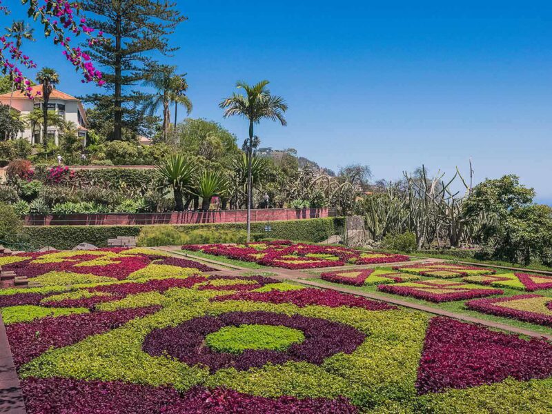Jardim Botânico da Madeira