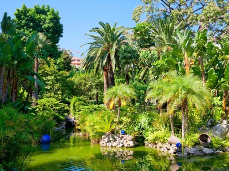 Jardin Exotique de Monaco