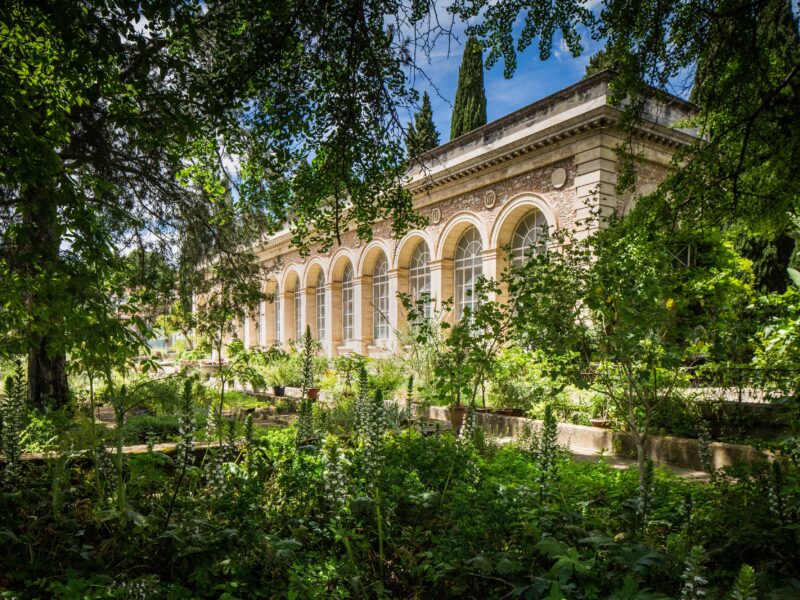 Jardin des plantes de Montpellier