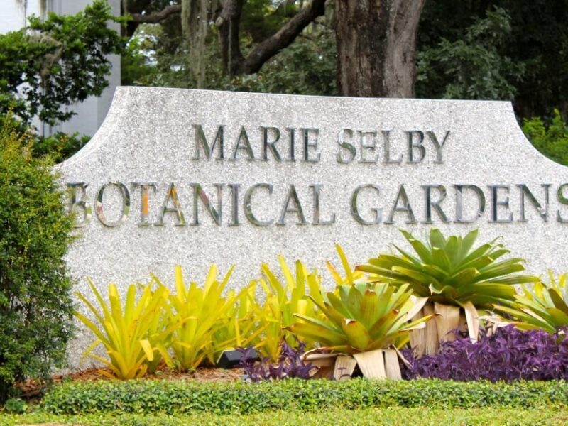 Marie Selby Botanical Gardens