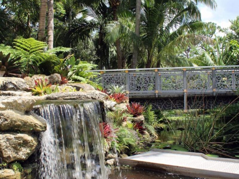 Mounts Botanical Garden