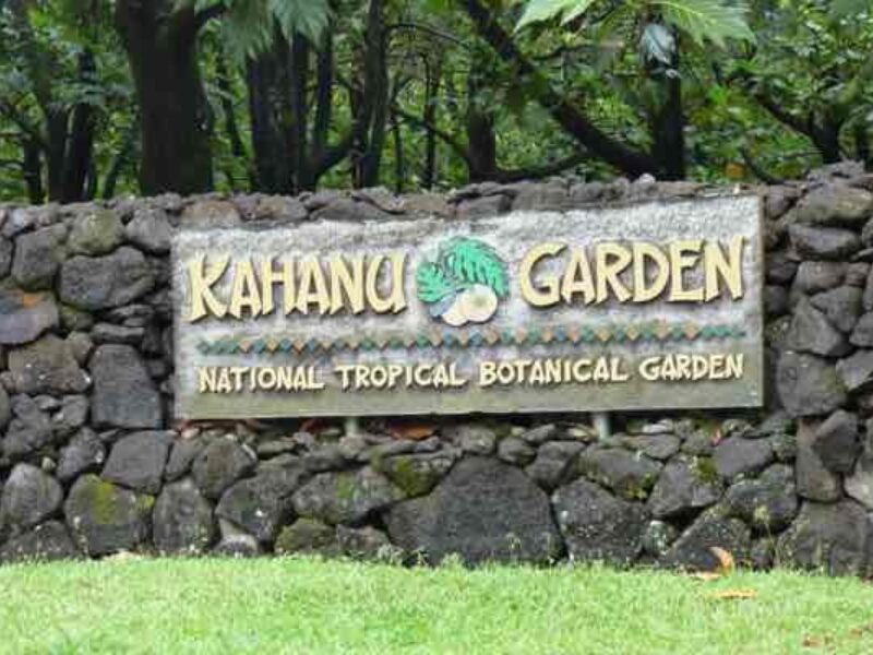 National Tropical Botanical Garden - Kahanu Garden & Preserve