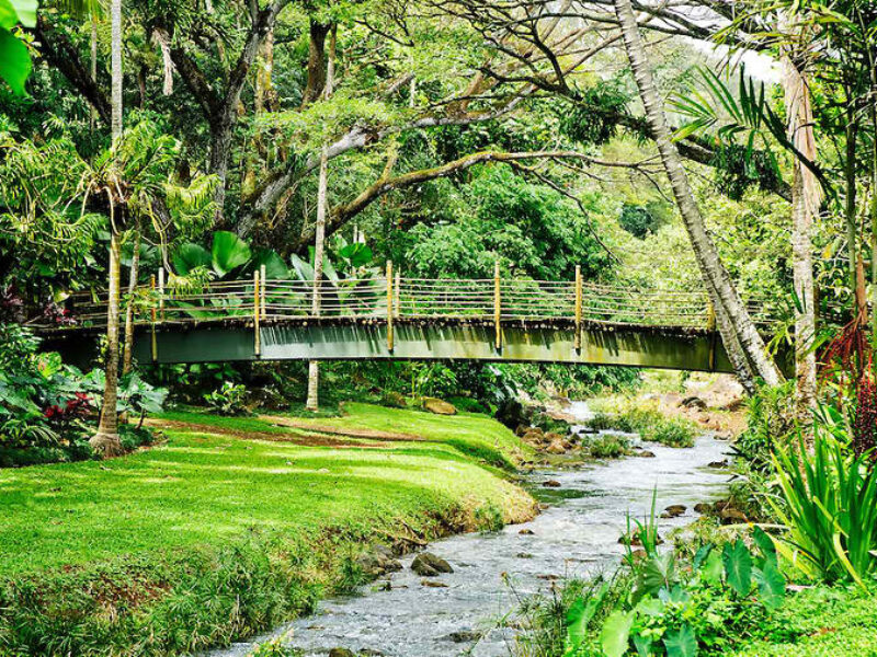 National Tropical Botanical Garden - McBryde Garden