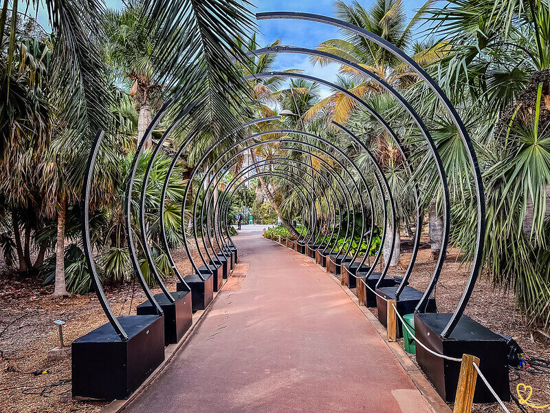 Palmetum of Santa Cruz de Tenerife
