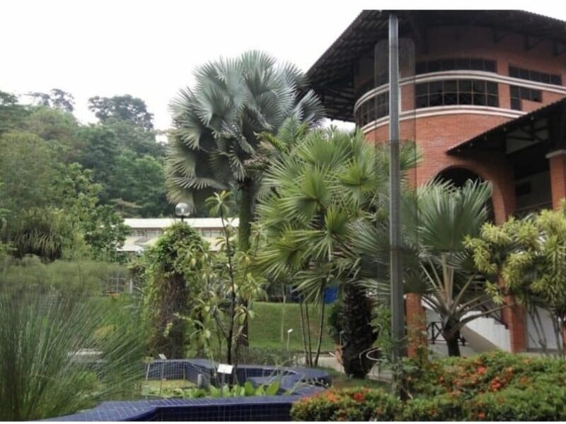 Rimba Ilmu Botanical Garden