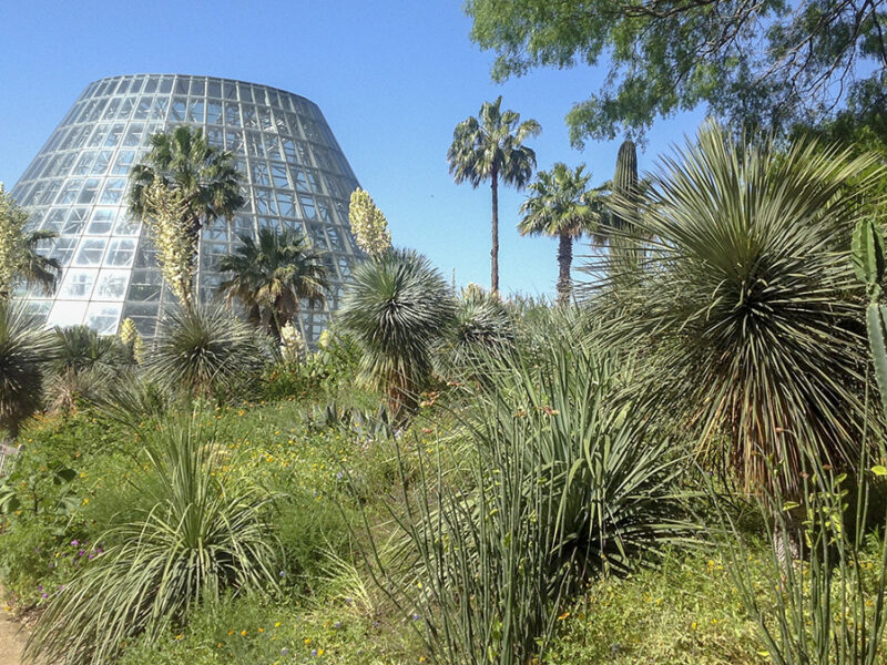 San Antonio Botanical Garden