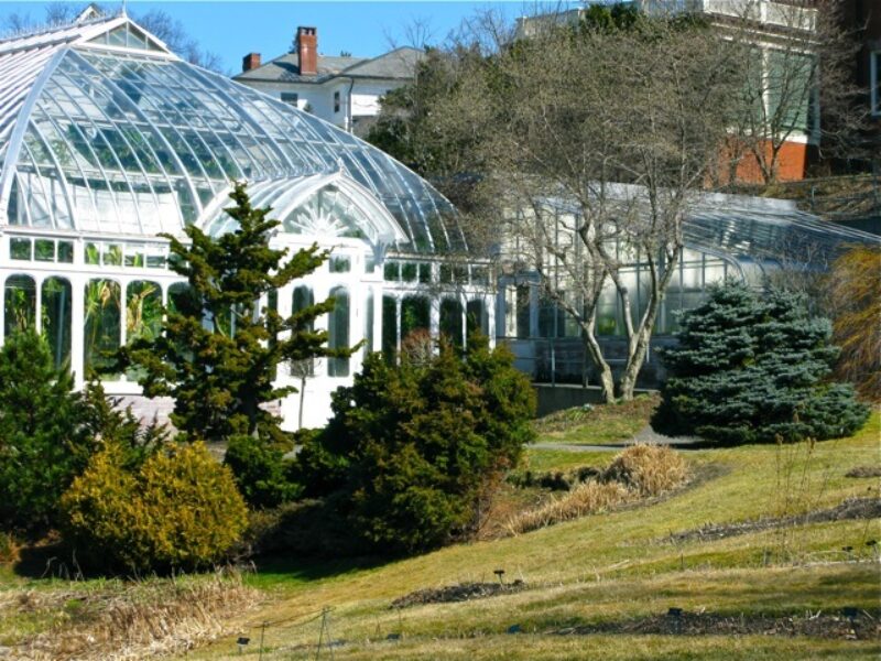 Smith College Botanic Garden (Lyman Conservatory)