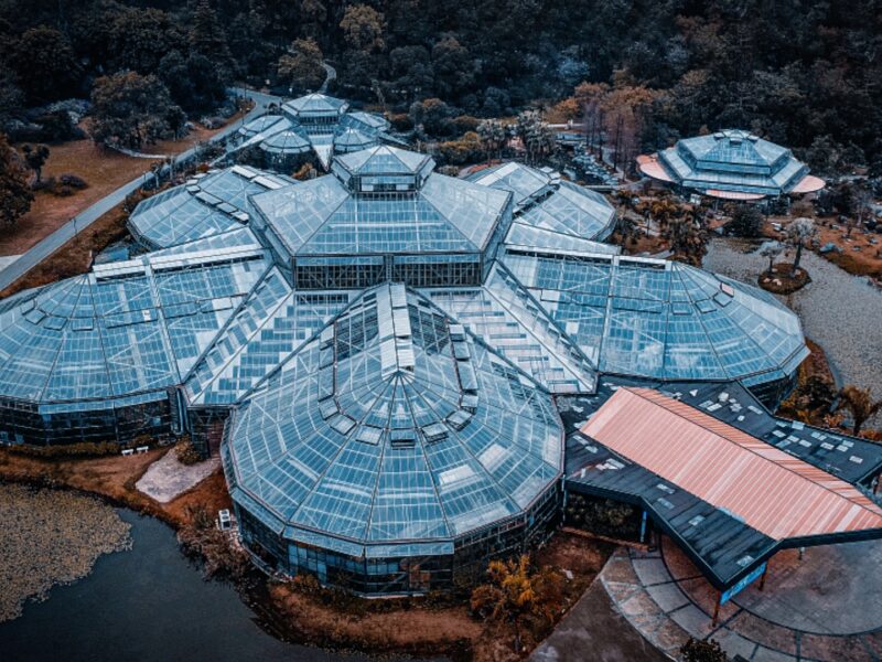 South China Botanical Garden
