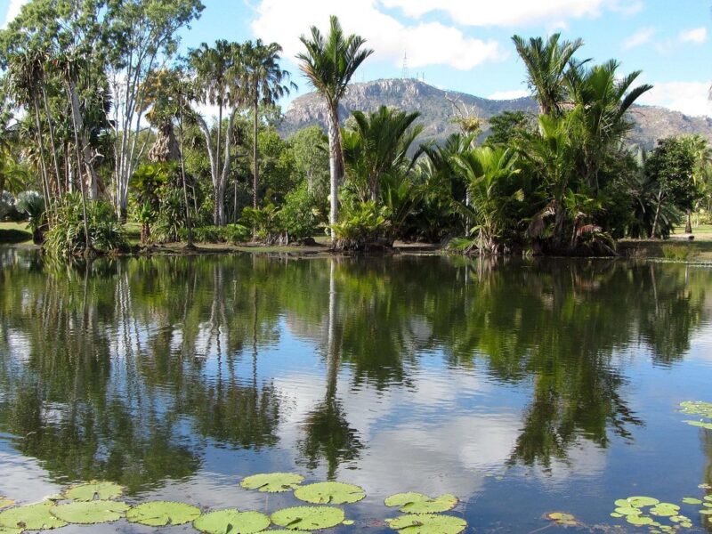 Townsville Palmetum